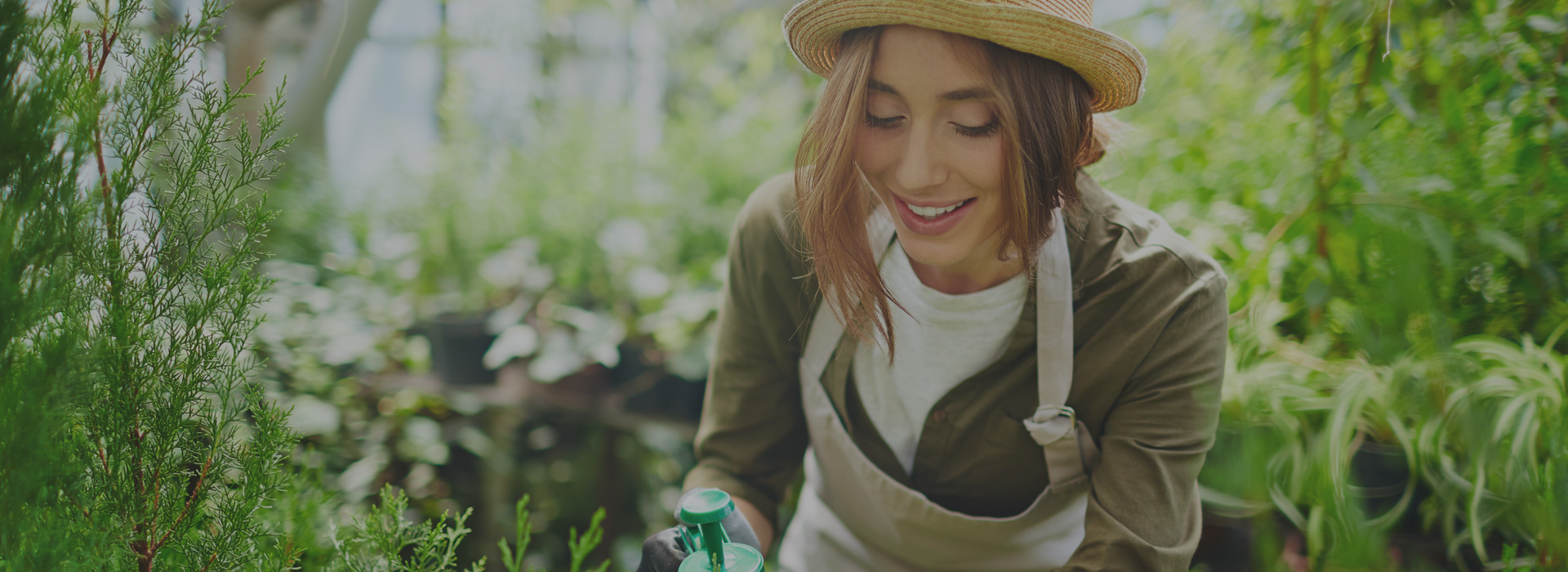 Woman gardening with watering can in greenhouse setting